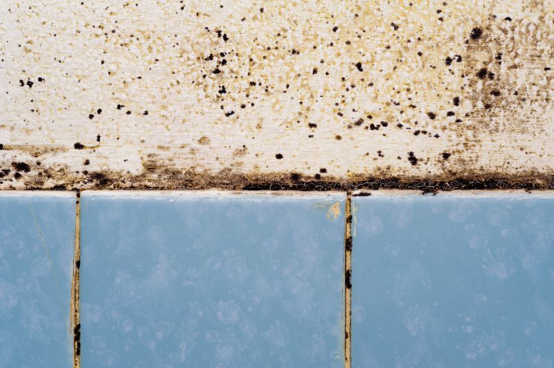 Bathroom Tile Upgrades